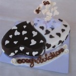 Engagement/Wedding cakes (white and chocolate)