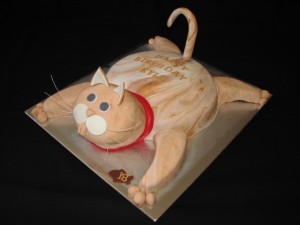 Cat cake (18th birthday)